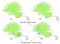 garimella-plos-blast